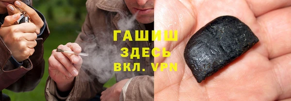 индика Гусиноозёрск
