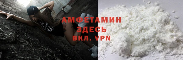 индика Гусиноозёрск