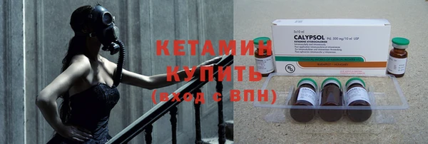 индика Гусиноозёрск