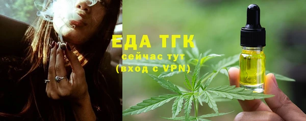 индика Гусиноозёрск