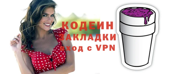 индика Гусиноозёрск