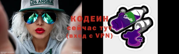 индика Гусиноозёрск