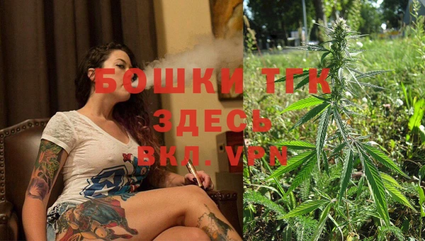сатива Дмитров
