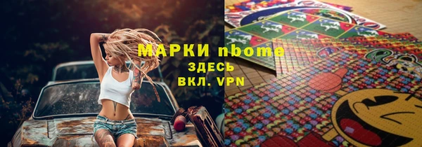 индика Гусиноозёрск