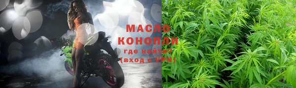 шишки Дмитриев