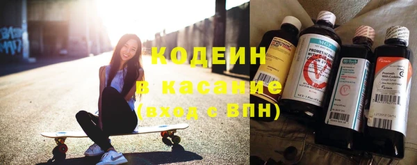 индика Гусиноозёрск